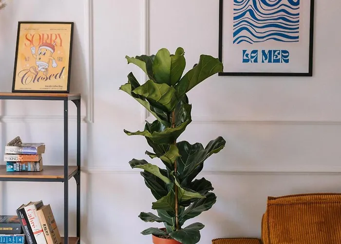 Teczowa 2 Апартаменты *